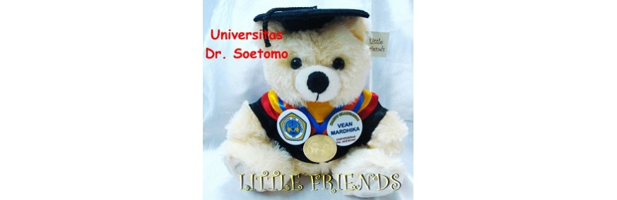Boneka Wisuda Universitas Dr. Soetomo